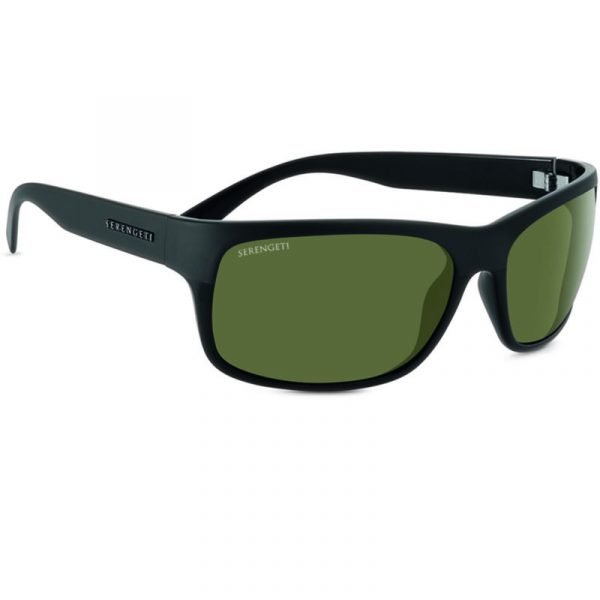 Pistoia 8301 Shiny/Satin Black P555 (TR)