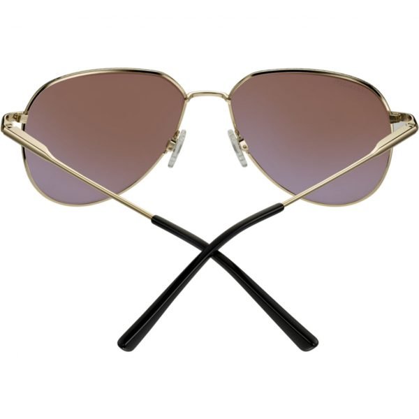 Haywood Small SS544005 Shiny Light Gold 555nm Non Polarized - Afbeelding 4